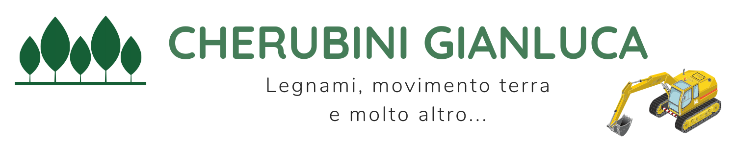 Cherubini Gianluca